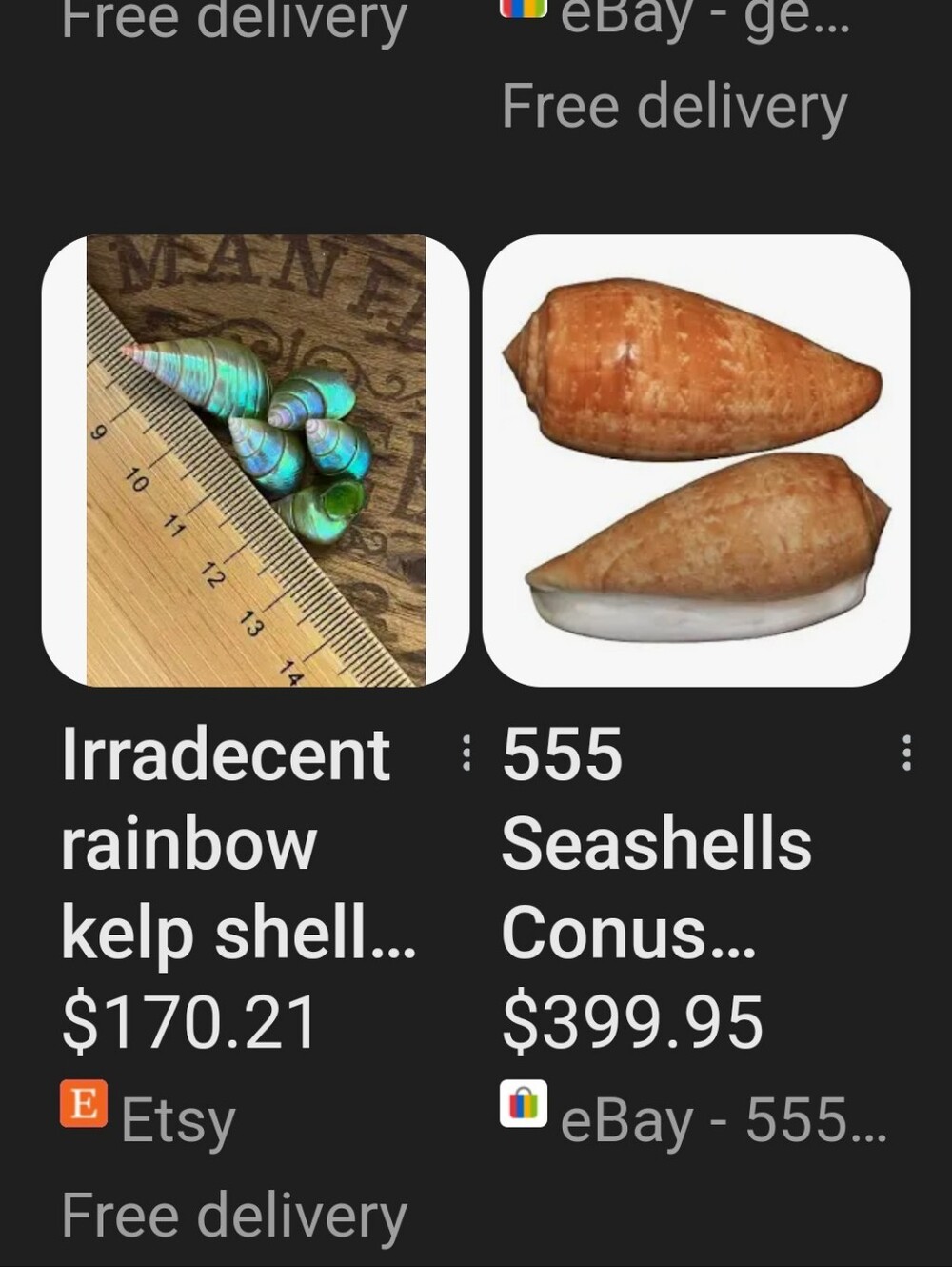 Random Shells - Picture 8 of 15